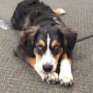 Meet your Posher, Mary